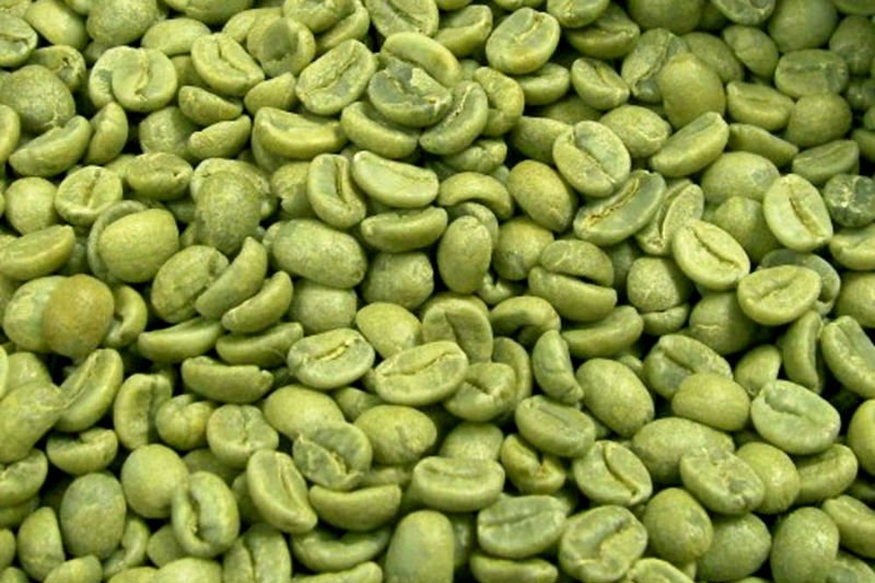 green_coffee_bean_extract_study.jpg